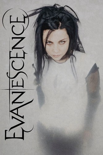 Evanescence promotional poster - promotional,