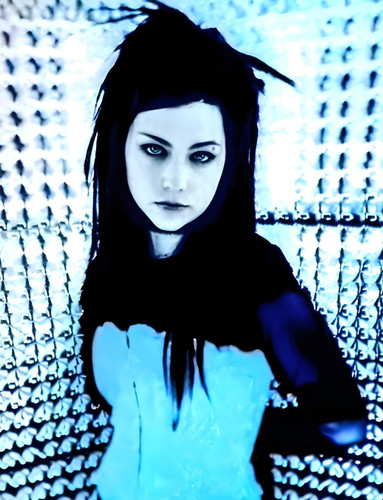 11x14 evanescence band amy - 11x14,