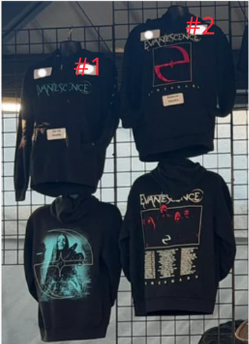 Evanescence hoodie rock - evanescence,