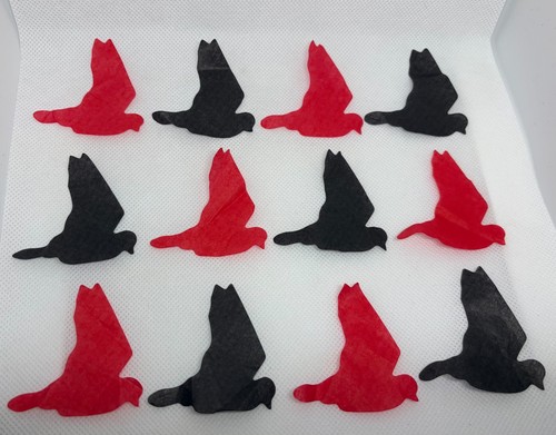 Evanescence concert confetti - evanescence,
