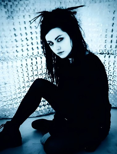 11x14 evanescence band amy lee - 11x14,