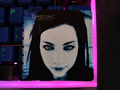 Evanescence fallen album - album, art