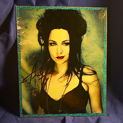 Amy lee evanescence magnet - amy,