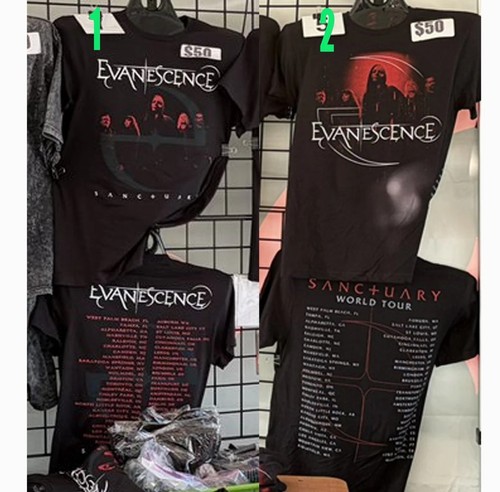 Evanescence sanctuary world - evanescence,