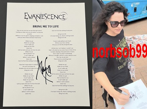 Amy lee signed autograph - amy,