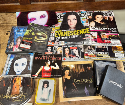 Evanescence amy lee lot - evanescence/amy,