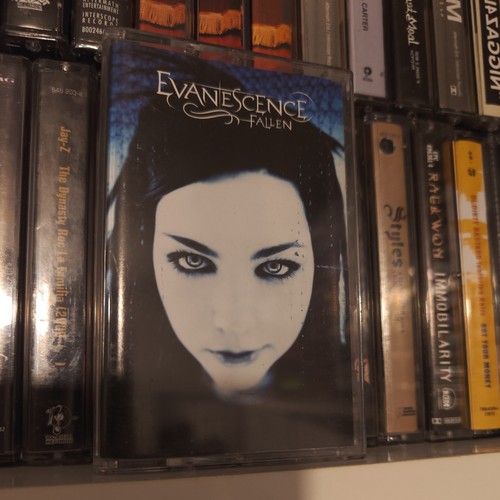 Evanescence fallen fully play - evanescence,