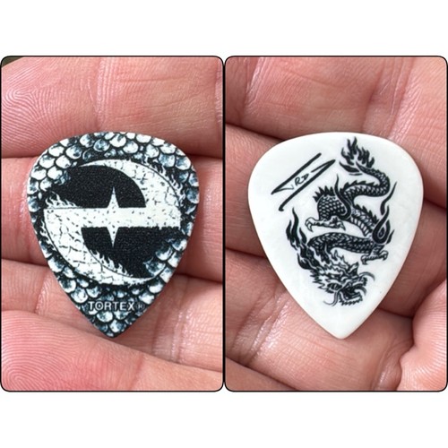 Evanescence guitar pick - guitar,